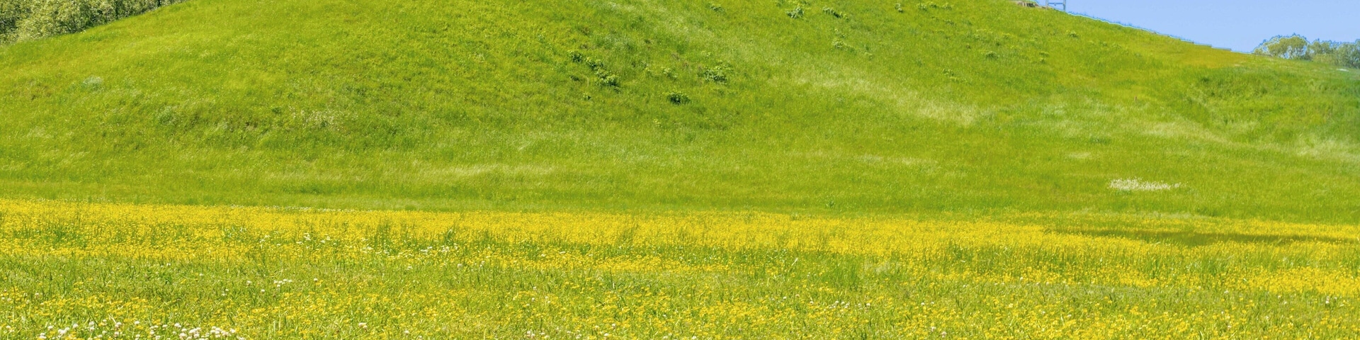 Largest Mound located at Monumental Earthworks at Poverty Point in Louisiana. This is an UNESCO World Heritage Site (since 2014).