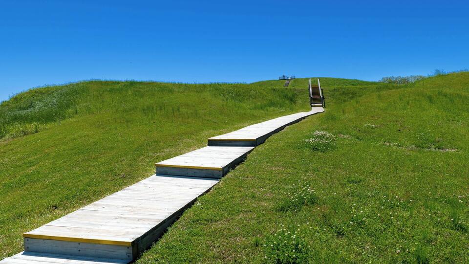 A wooden boardwalk ascending a grassy hill with a clear blue sky above.