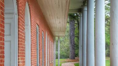 A random find driving through Louisiana.