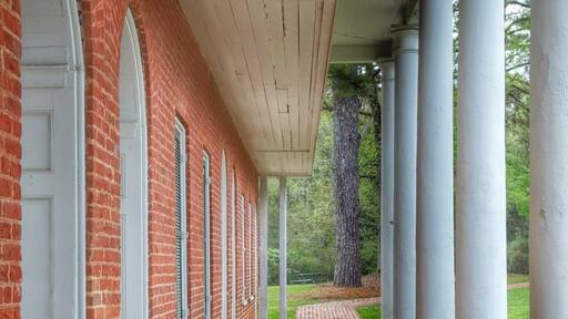 A random find driving through Louisiana.