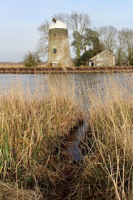 River walk with a spotting of a Chinese water deer #NorfolkBroads