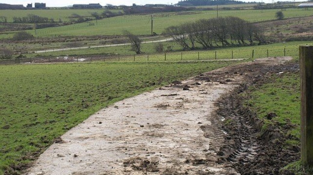 Road to the sewage works,Trewassa. This concrete road leads from the rear of the hamlet down to 735986, but I think it has been superseded by the new road in the background which links more directly to a road.