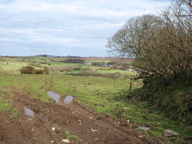 Field at Trewassa A long rectangular field bounded by curving banks which drops towards a headwater of the Inny. Davidstow is partly obscured by the outstretched branches on the right.
