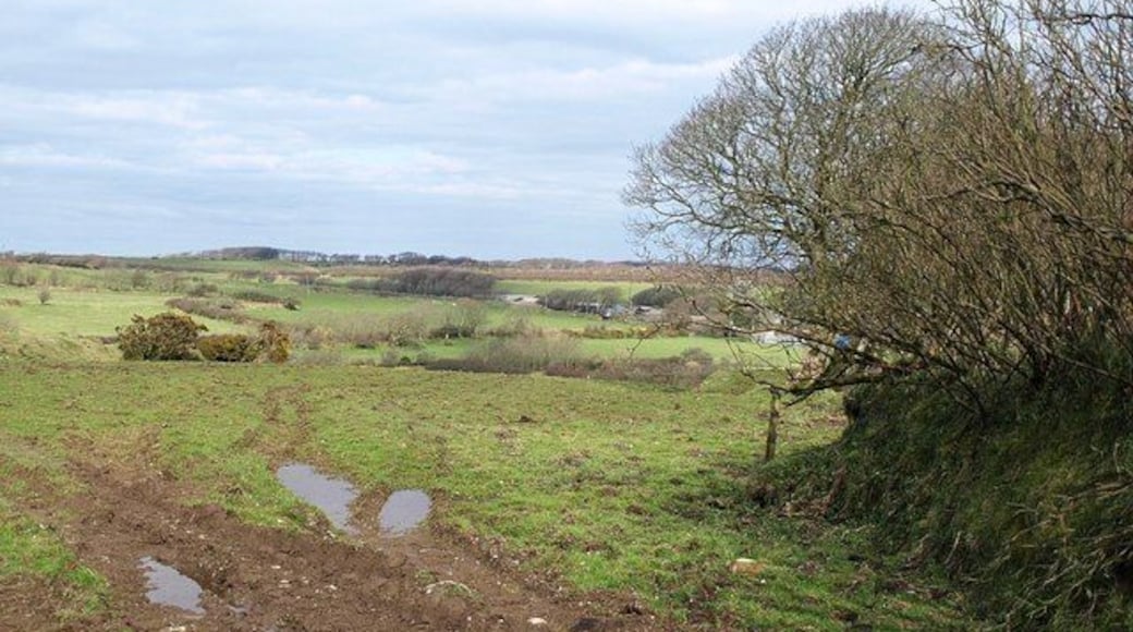 Field at Trewassa A long rectangular field bounded by curving banks which drops towards a headwater of the Inny. Davidstow is partly obscured by the outstretched branches on the right.
