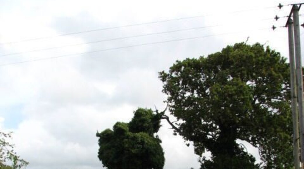 Leaving Ridlington on Old Lane. According to OS maps, the first section of Old Lane is called 'Nash's Lane', up to the point where it passes Nash's Farm > 566850. The sign at the turn-off from The Street in Ridlington reads 'Old Lane' from the start.