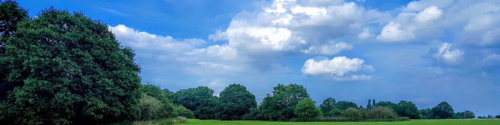 Large open space at Mulbarton Common