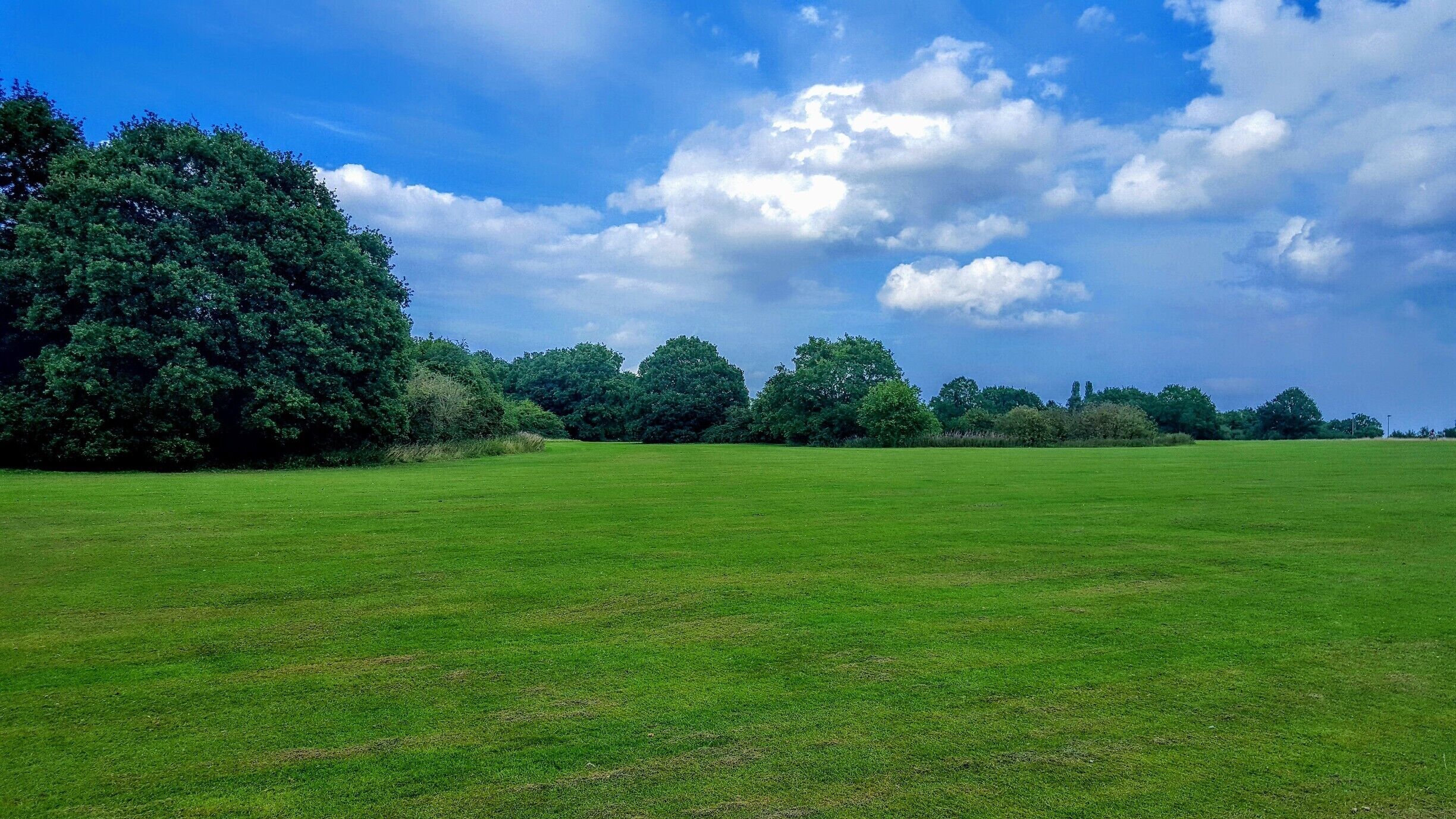A grassy field with trees and a blue sky with clouds.