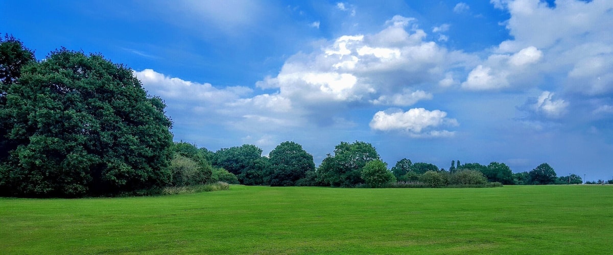 A grassy field with trees and a blue sky with clouds.