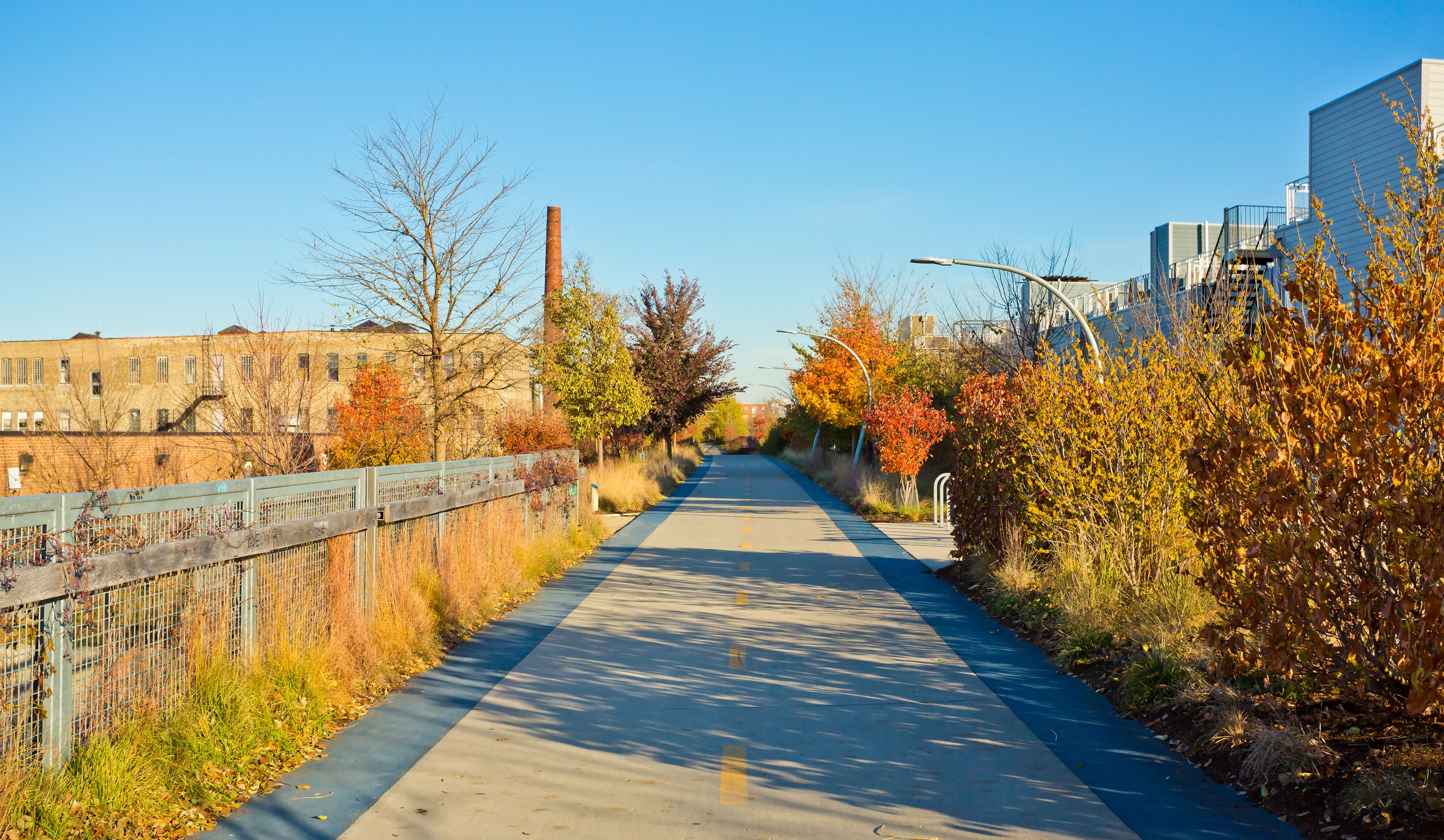Fall colorful trees with a path through it.