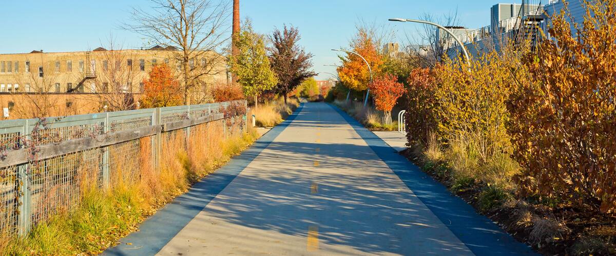 Fall colorful trees with a path through it.