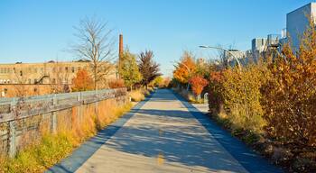 Fall colorful trees with a path through it.