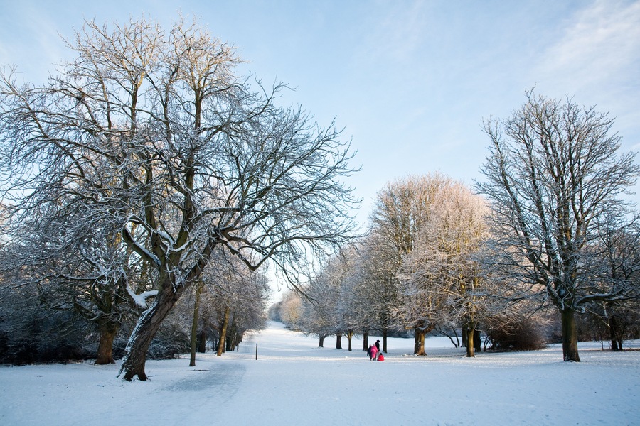A snow-covered park with leafless trees and a clear sky.