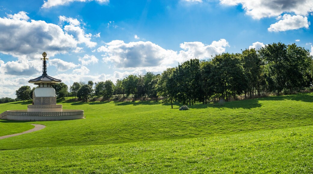 ํฌ ๋ง์ผ ์ ์