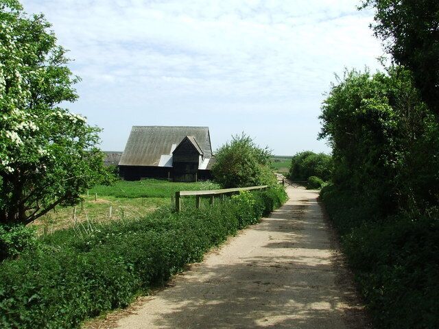 A rural path leading to a barn surrounded by greenery.