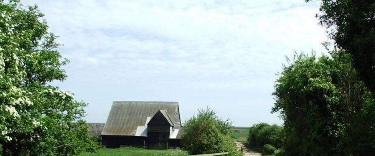 A rural path leading to a barn surrounded by greenery.
