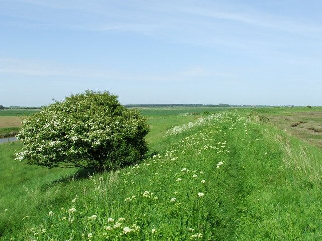 Sea Wall Sea wall looking north east near to Boyton, Suffolk.