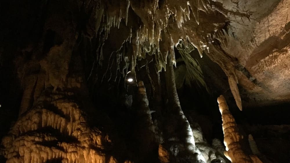 Absolutely mesmerizing... This, from the "Domes and Dripstones" tour.