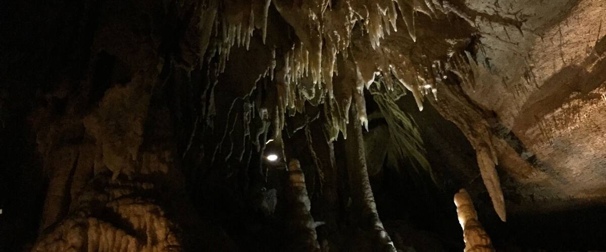 Absolutely mesmerizing... This, from the "Domes and Dripstones" tour.