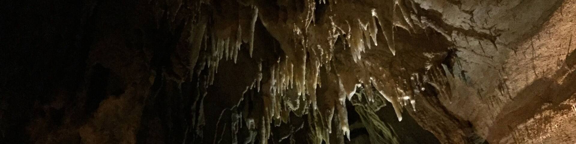 Absolutely mesmerizing... This, from the "Domes and Dripstones" tour.