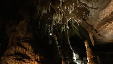 Absolutely mesmerizing... This, from the "Domes and Dripstones" tour.