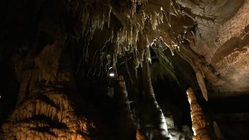 Absolutely mesmerizing... This, from the "Domes and Dripstones" tour.