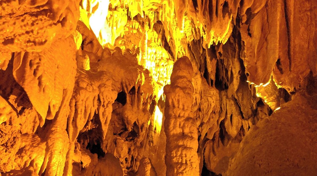Definitely worth a trip to Kentucky! The National Park has a lot of different tours to choose from. We did the Domes and Dripstones tour and were not disappointed. Learned a lot of cool info and saw some magnificent geology. #kentucky #nationalpark