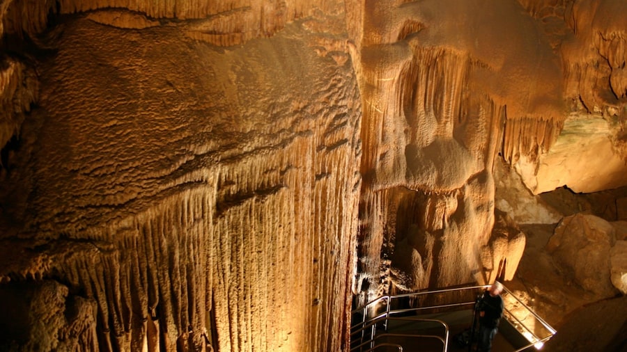 Mammoth Cave National Park which includes caves