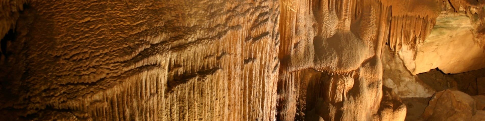 Mammoth Cave National Park which includes caves