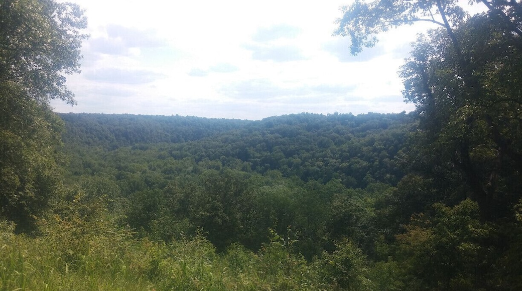 The view looking out over the Green River Valley from the top of the Sunset Point hiking trail near the visitor's center in Mammoth Cave National Park.