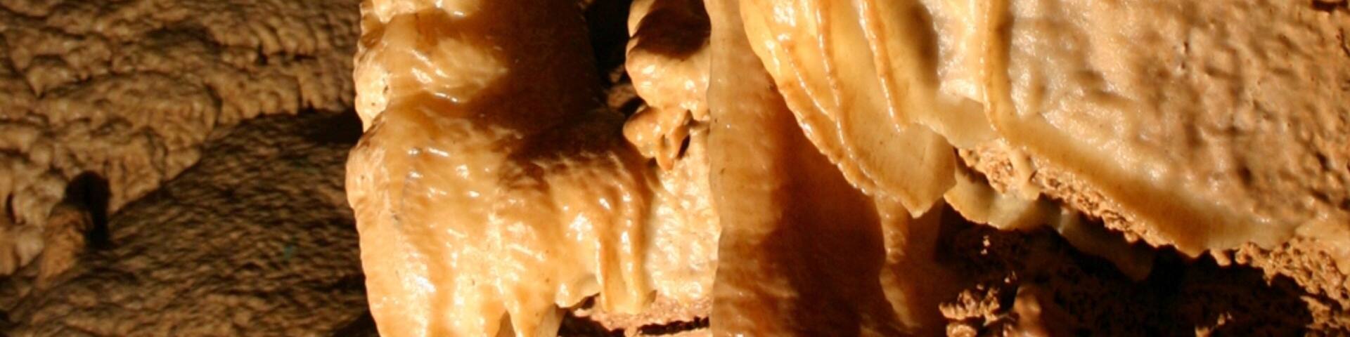 Mammoth Cave National Park