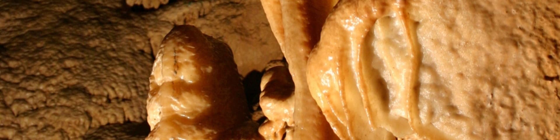 Bowling Green mostrando cavernas