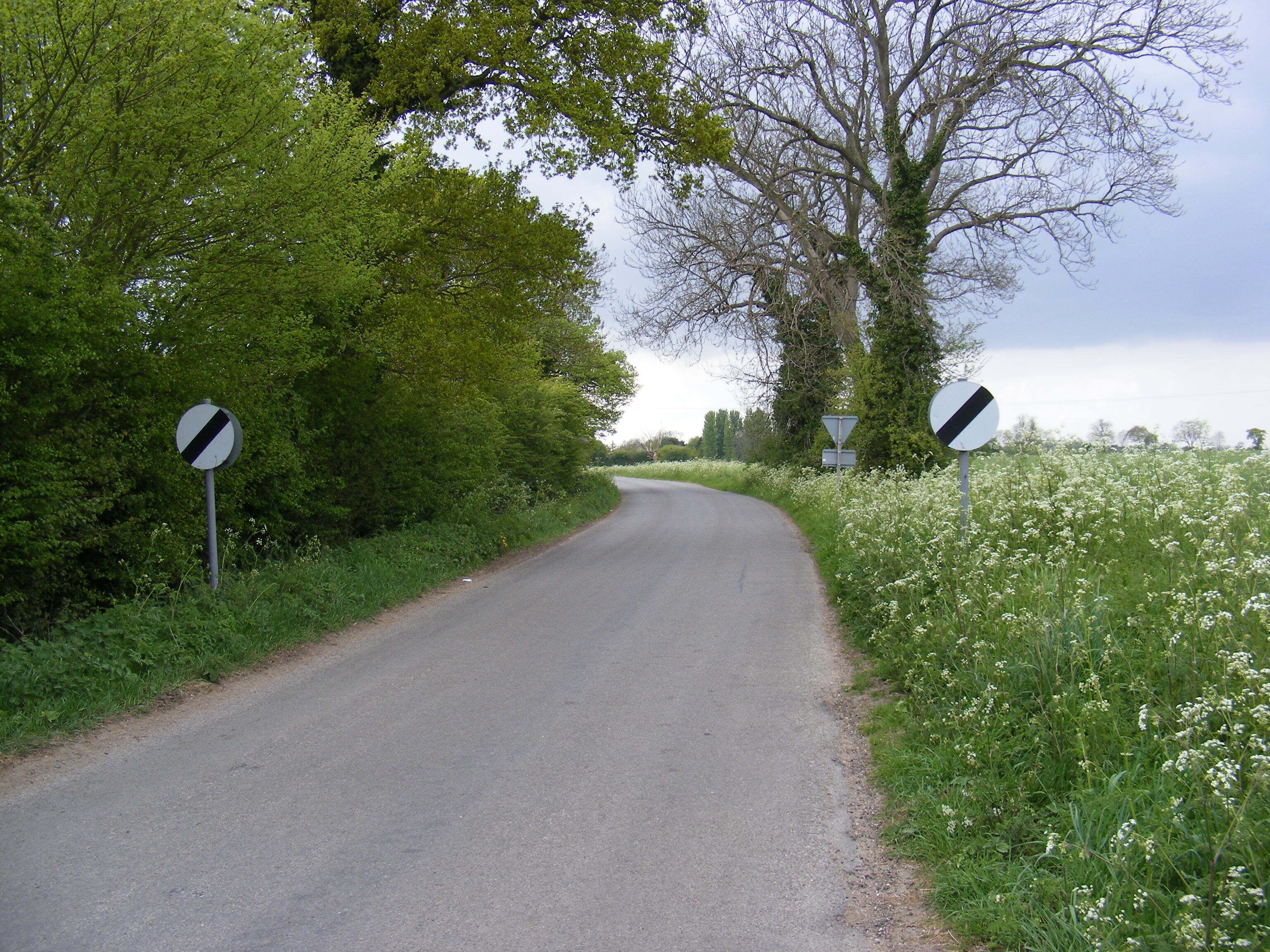 A narrow rural road flanked by lush greenery and white flowers.