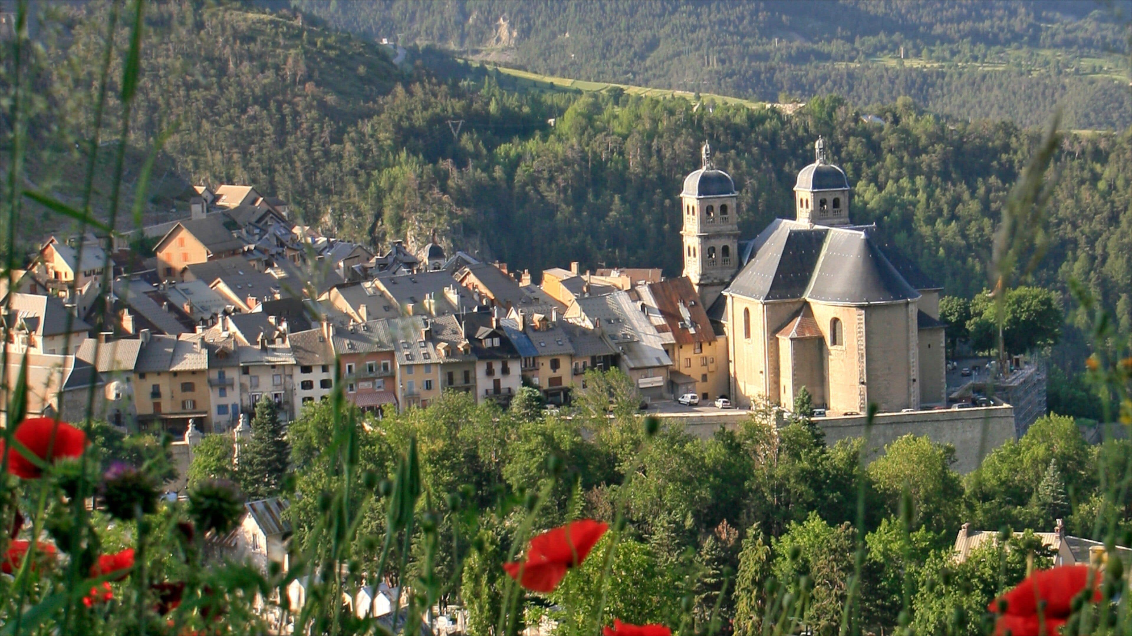 A village with a prominent church and surrounding forested hills.