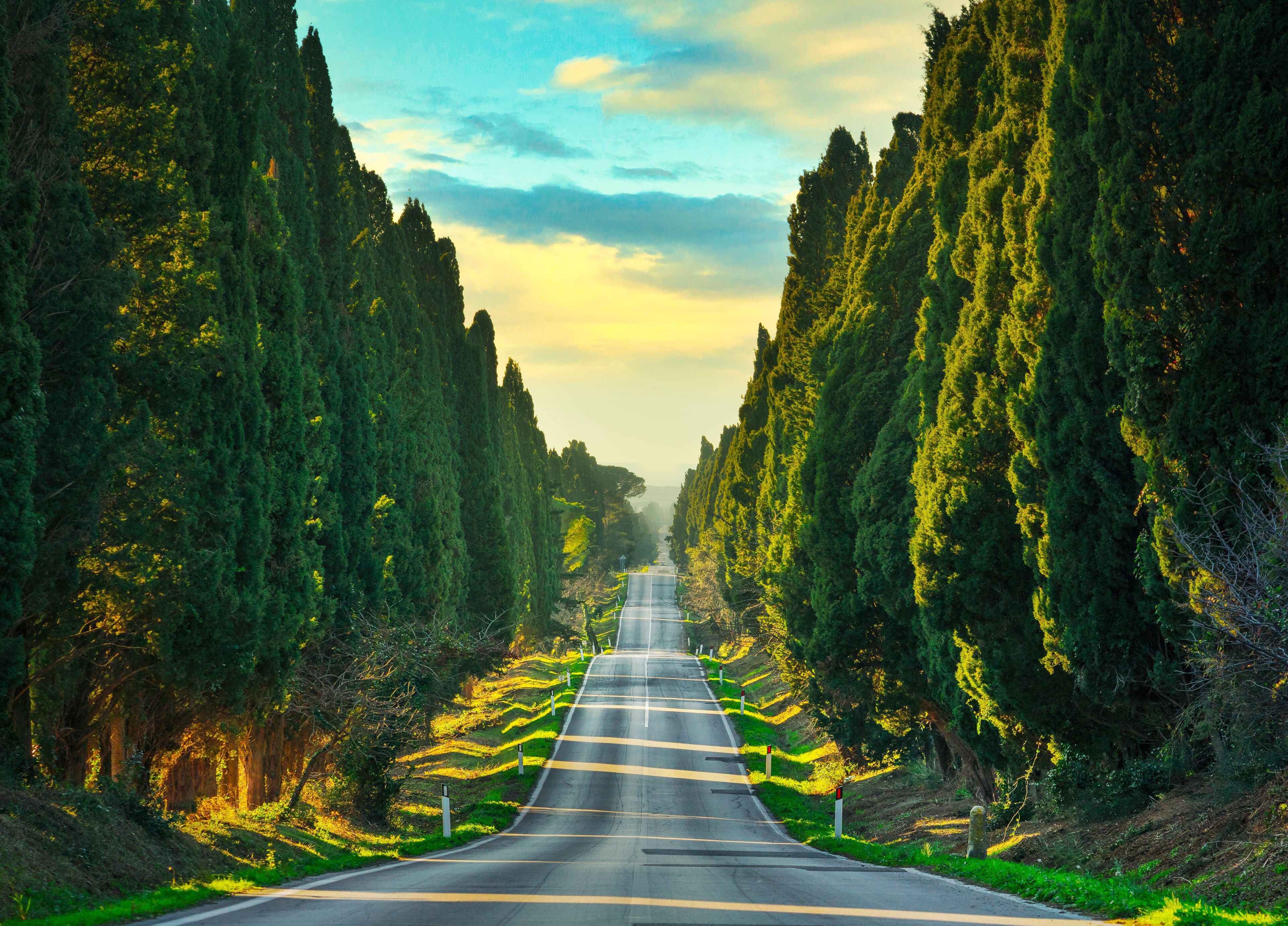 Viale dei Cipressin sypressitie