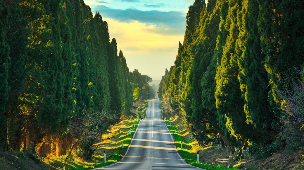 Viale dei Cipressi