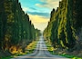 Bolgheri famous cypresses tree straight boulevard. Maremma, Tuscany, Italy