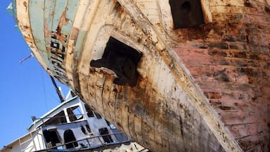 The eyes have it!!! #BeachBound