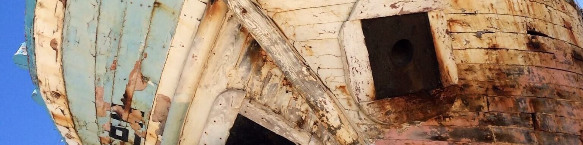 The eyes have it!!! #BeachBound