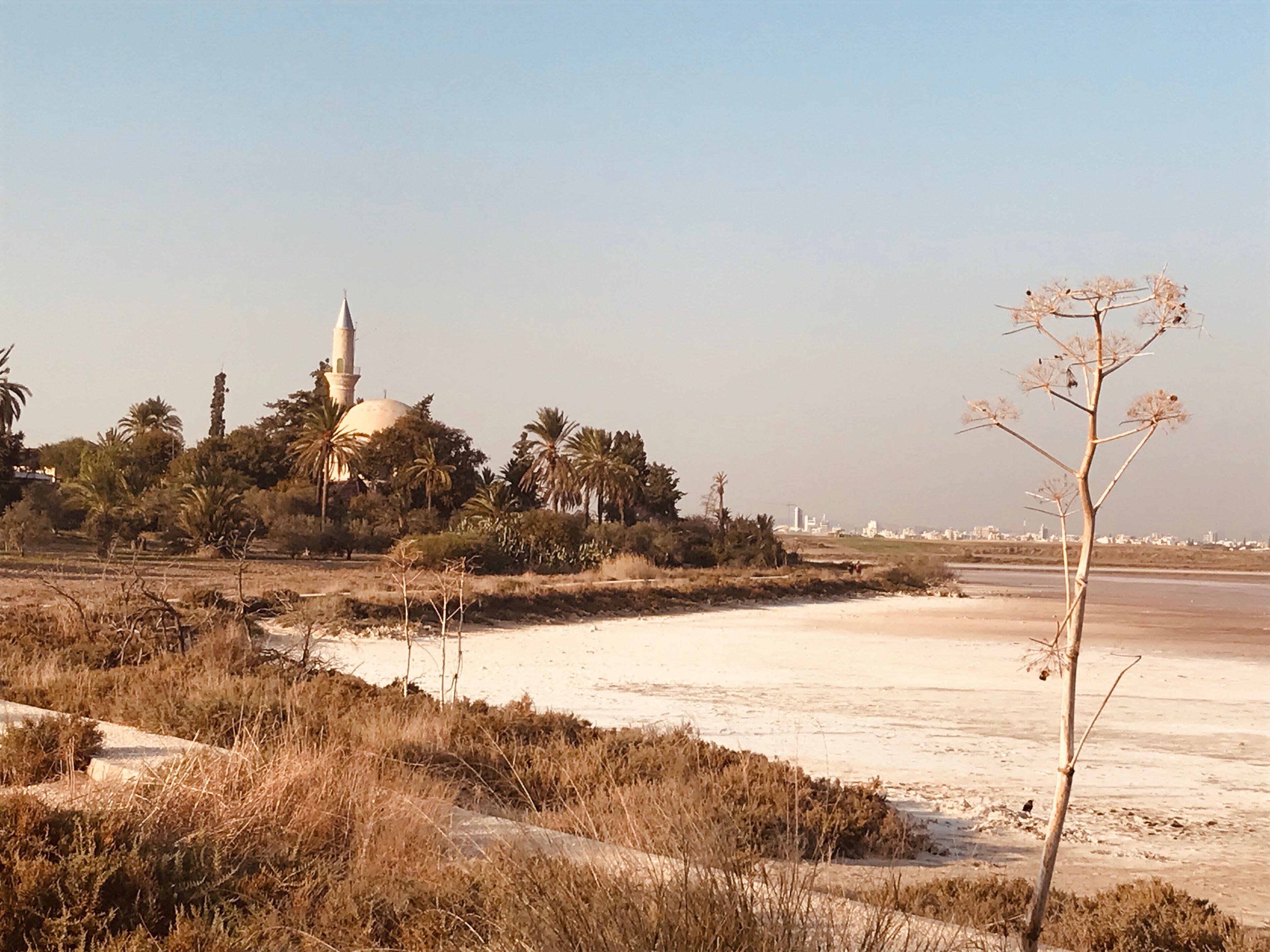 Hala Sultan Tekke