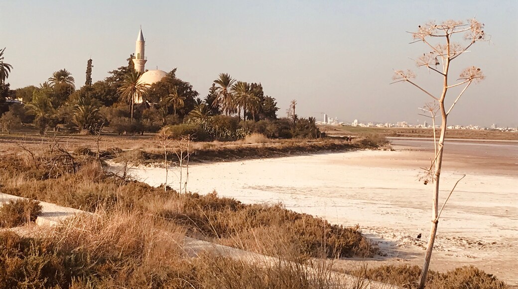 Hala Sultan Tekke