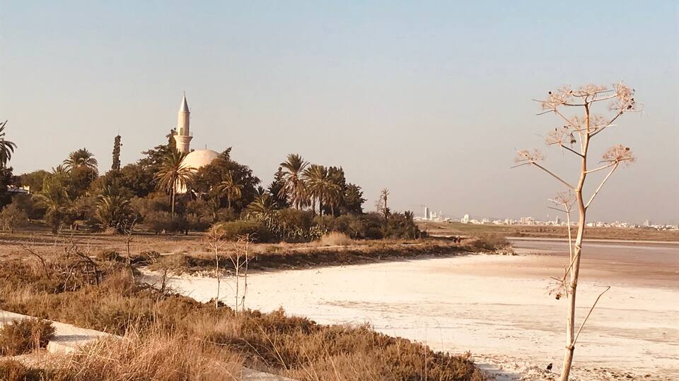 A mosque with a dome and minaret, surrounded by palm trees and dry grass.