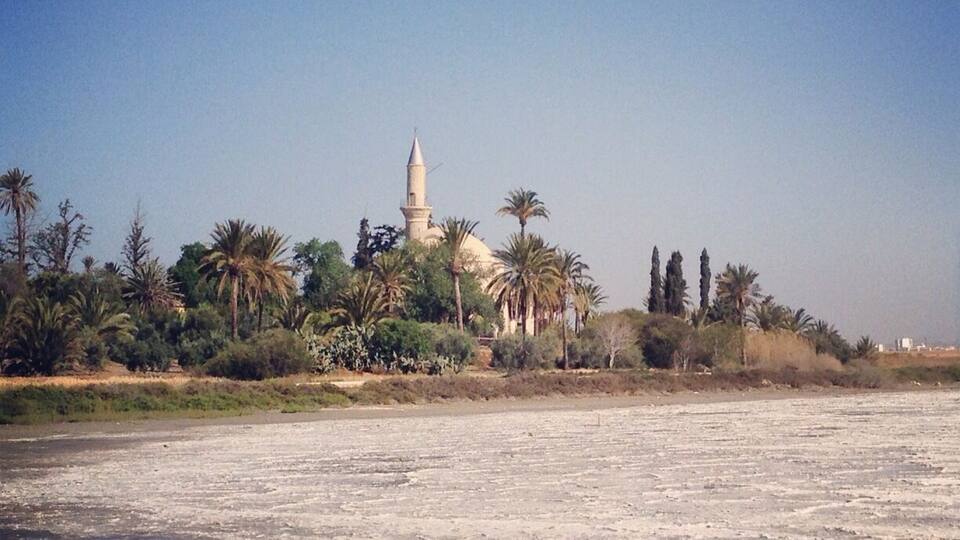 A mosque with a tall minaret, surrounded by palm trees and dry vegetation.