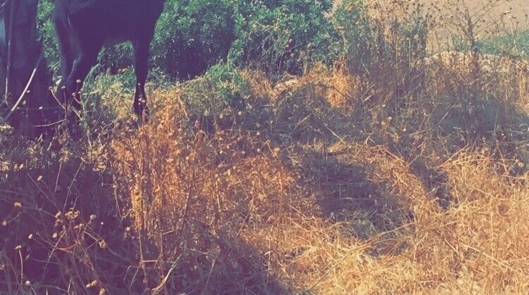 Amazing views, quite ambiance.