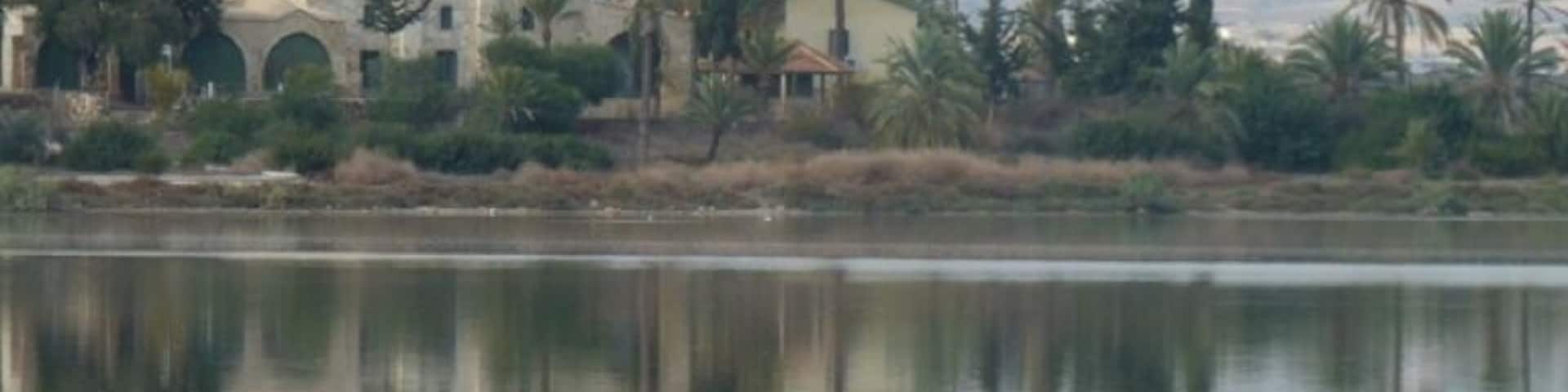 Mosque on the outskirts of Larnaca
