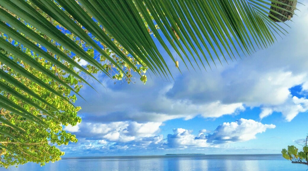 Right in front of Ocean Beach Inn - Maldives. we enjoy our stay here. I recommended this place for travelers.