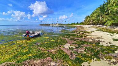 Magoodhoo