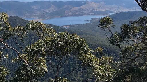The 13 km Somerset Trail is a loop starting from the Gantry in D’Aguilar National Park with stunning views of the Somerset Dam about half way in. It’s not a difficult hike and just an hour out of Brisbane.