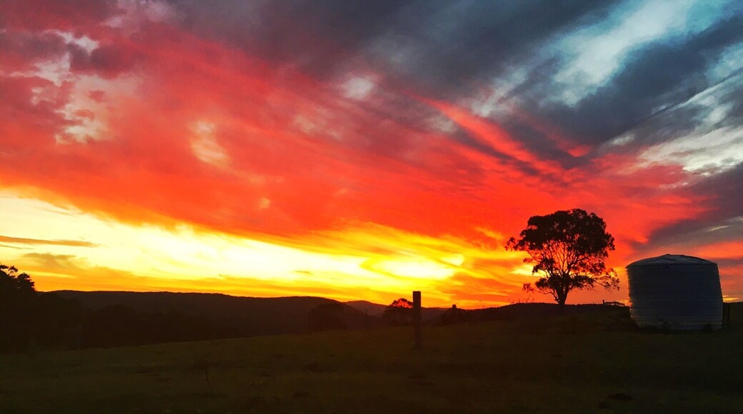Red at night is the shepherd's delight! The sunsets at night in the Australian west are second to none. Don't limit yourself to the city, get out and start heading west. This was taken on a friend's property an hour west of the Sunshine Coast in Queensland. It just got better and better. It doesn't get more iconic that this with the water tank and lonely tree. I'd just arrived back to Australia for a two week visit. It makes me homesick just to look at it.
#red #queensland #australia #sunset