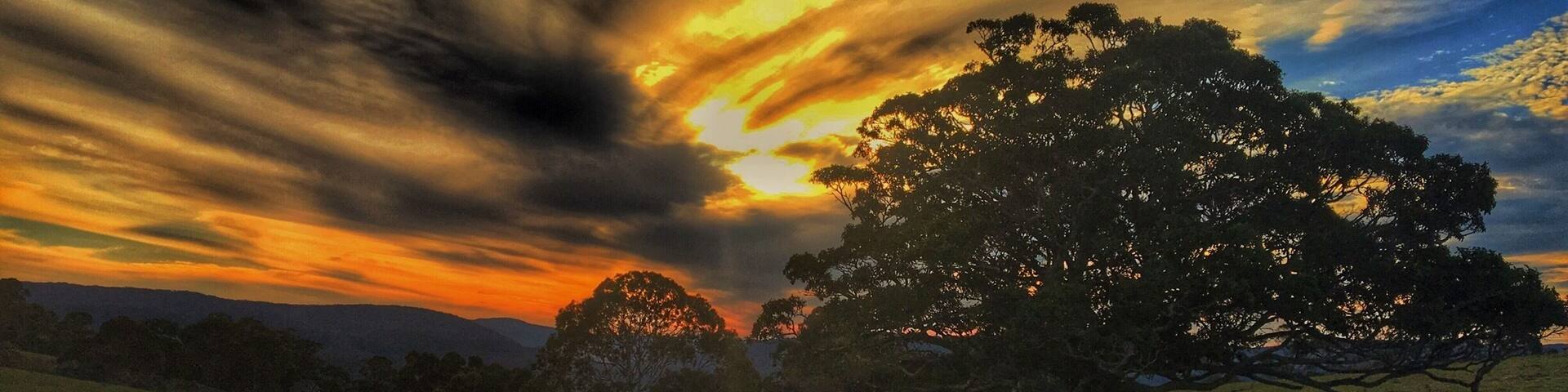 Moments after this the sky exploded into the most stunning gold, orange and purple swirls. Hinterland of the Sunshine Coast southern Queensland. #green #sunset #australia