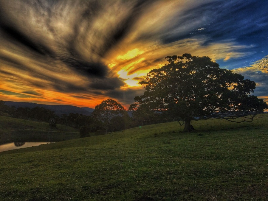 Moments after this the sky exploded into the most stunning gold, orange and purple swirls. Hinterland of the Sunshine Coast southern Queensland. #green #sunset #australia